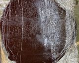 Foto del paso 3 de la receta: Alfajores de chocolate con masa sableé