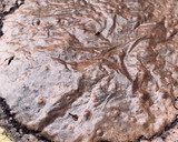 Foto del paso 1 de la receta: Brownie sin manteca y con chocolino🍫
