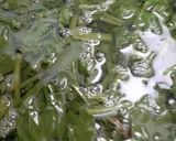 पालक मखाना (Palak makhana recipe in Hindi) रेसिपी चरण 2 फोटो