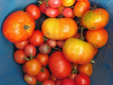 Dulce de tomate casero