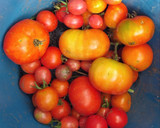 Foto del paso 1 de la receta: Dulce de tomate casero