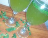 A picture of step 2 of Mint margrita.