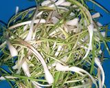 Foto langkah ke 2 dari resep 130.Sambal Bawang Rambut.