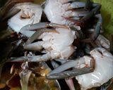 Foto langkah ke 1 dari resep Kepiting Saos Padang.