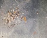 A picture of step 1 of Kheer.