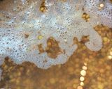 Foto del paso 1 de la receta: Guiso de lentejas