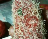 A picture of step 11 of Mix Veg chop.