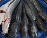 A picture of step 1 of Cat Fish Pepper Soup 🦈.
