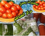 صورة لخطوة 5 من وصفة الطماطم المصبرة والاحتفاظ بالكزبرة والبقدونس