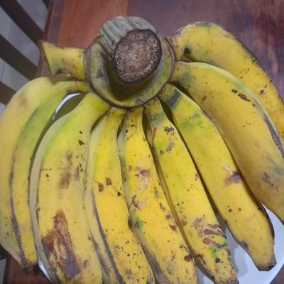 Langkah 1