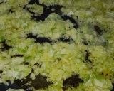 Foto del paso 3 de la receta Arroz con pulpo
