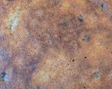 Foto del paso 4 de la receta: Tortita de arándanos sin horno, sin azúcar, sin edulcorante, sin harina, sin gluten 🫐keto