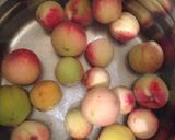 Foto del paso 1 de la receta: Agua de durazno 🍑