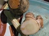 Telur bumbu bistik