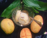 मैंगो आइसक्रीम (Mango Icecream recipe in hindi) रेसिपी चरण 7 फोटो