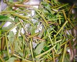 Hình bước làm 1 của món Rau muống đồng xào tỏi