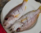 Foto langkah ke 1 dari resep Steam Ikan ala Hongkong.