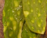 Foto del paso 5 de la receta: Cerdo con nopales en salsa del molcajete