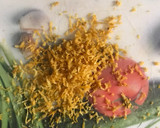 Foto del paso 1 de la receta: Lemon Crud fácil 🍋