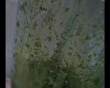 A picture of step 2 of Green mint Margarita.