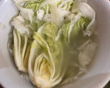 Foto langkah ke 1 dari resep KIMCHI LOBAK DAN SAWI mudah BY irre_desirre.