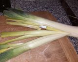 Foto del paso 1 de la receta: Nueces, puerro y crema en salsa