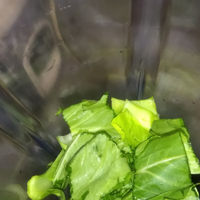 Langkah 3