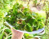 Hình bước làm 6 của món Gỏi rau càng cua tàu hủ ki (món chay)