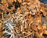 Foto langkah ke 6 dari resep Daging kecap campur teri.