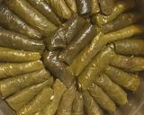 عکس مرحله 9 از دستور دلمه برگ مو لبنانی (ورق عنب -wara anab)