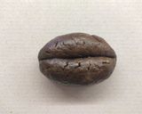 Foto del passaggio 4 della ricetta Biscottini al caffè e melassa
