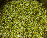 பெசரட் தோசை ரெசிபி ஸ்டேப் 2 புகைப்படம்