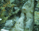 Foto del paso 5 de la receta: Omelette De Vegetales, Queso Y Cebolla