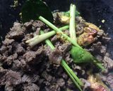 Foto langkah ke 3 dari resep Soto Daging Sederhana.