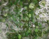 عکس مرحله 2 از دستور سبزی پلو با ماهی