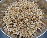 मिक्स स्प्राऊट सॅलड (mix sprouts salad recipe in marathi) रेसिपी स्टेप 1 फोटो