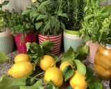 Une image de l'étape 1 de 🍋🥒Citronnade 🇩🇿Algérienne #ramadan🍶.
