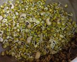 A picture of step 3 of Paneer Sprouts Tikkis High Protein Pan fried Starter for Parties.