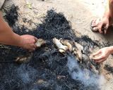 Hình bước làm 3 của món Chuột Đồng Nướng Muối Ớt