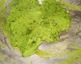 কড়াইশুটির কচুরি (Koraisutir Khochuri recipe in Bengali) রেসিপির ধাপ 3 ছবি