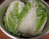 東北酸白菜的醃製方法(不需要燙過)的食譜步驟2照片