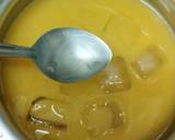 Woodapple Cooler/Bel ka Sharbath recipe step 5 photo
