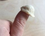 A picture of step 8 of Hand made orecchiette and cavatelli pasta: how to make them.