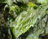 Foto del paso 2 de la receta: Chips veganos de kale en freidora de aire