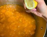 Sárgabaracklekvár🍑 (tartósítószer mentesen) recept fázis 2 fotója