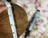 Foto langkah ke 1 dari resep Manfaat dari bathok kelapa.