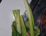Foto langkah ke 3 dari resep Tongkol Jontor.