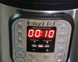 Instant Pot Lauki Chana Dal Ki Sabzi