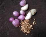 Foto langkah ke 1 dari resep Bobor Daun Katuk.