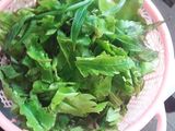 Sayur Pakis tumis Tempe